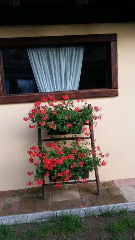 Veruno B&B Il Salice מראה חיצוני תמונה
