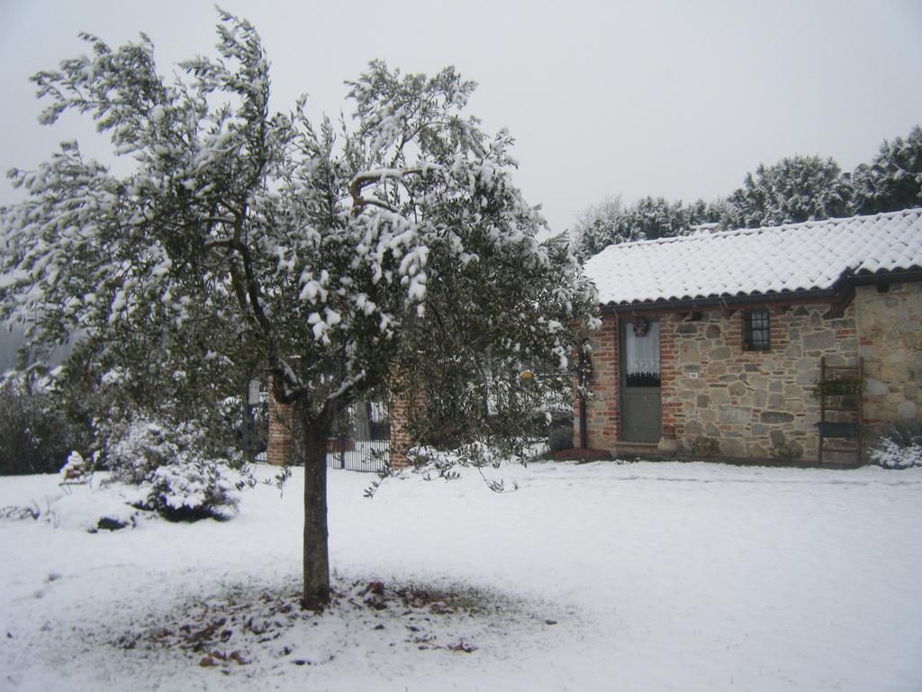 Veruno B&B Il Salice מראה חיצוני תמונה